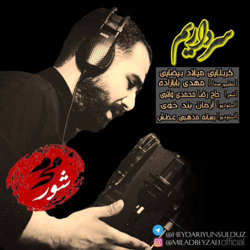 میلاد بیضایی سرداریم